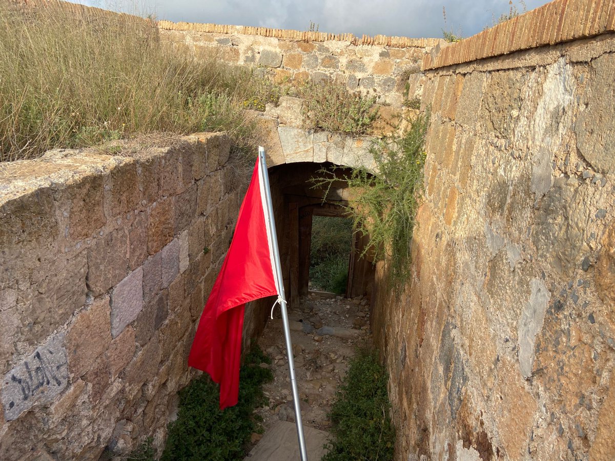 Alberto Rodriguez Segundo tweet media