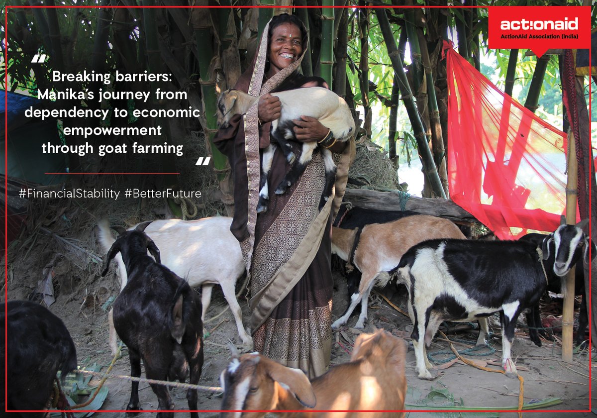 #ActWithHer
#WomenEmpowerment #LivelihoodSupport
Manika and other tribal women are breaking barriers and gaining financial independence through goat farming, thanks to @ActionAidIndia 's support.