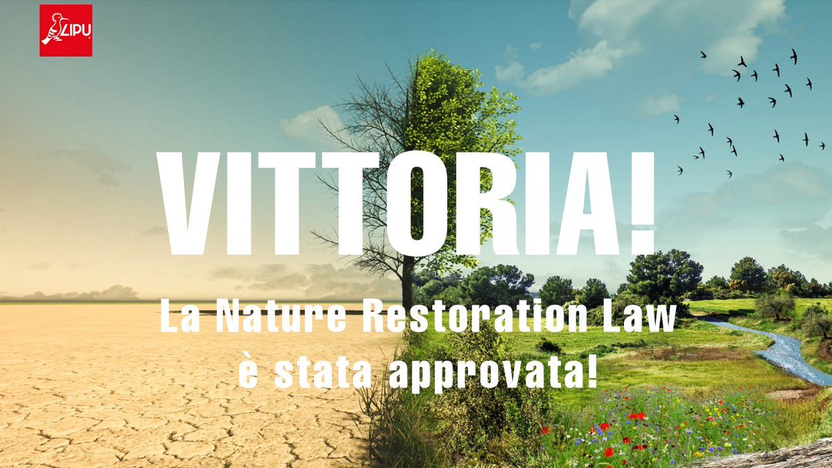 Lipu - BirdLife Italia tweet media