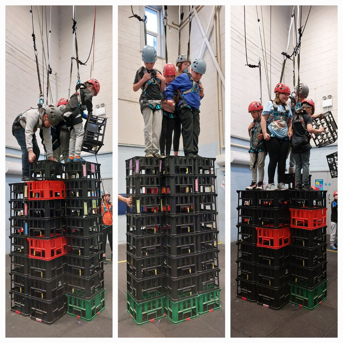 Linton Primary School tweet media