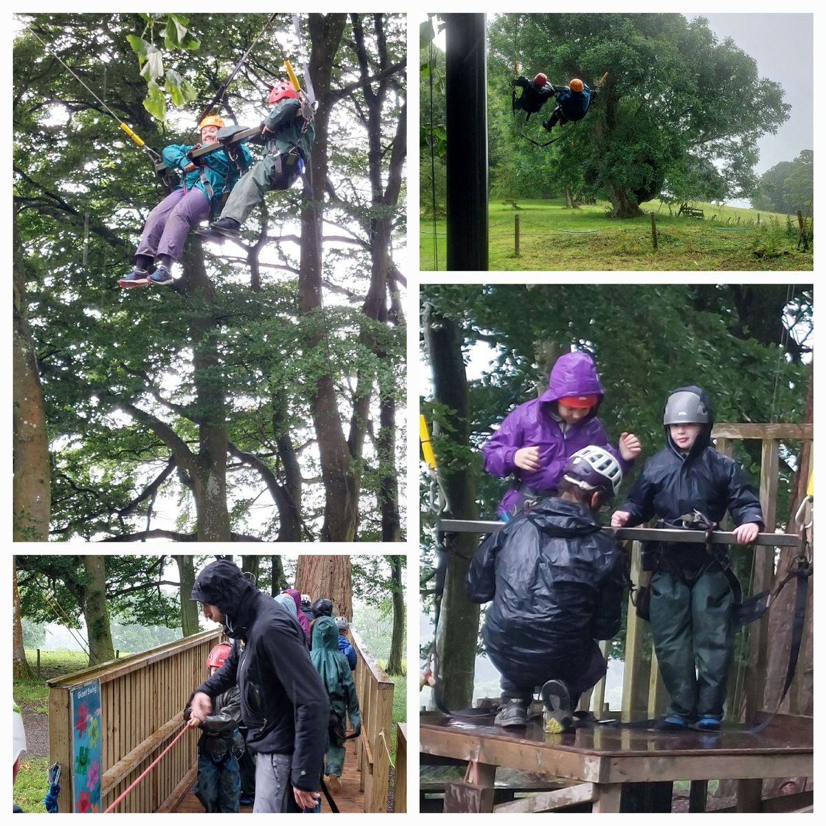 Linton Primary School tweet media