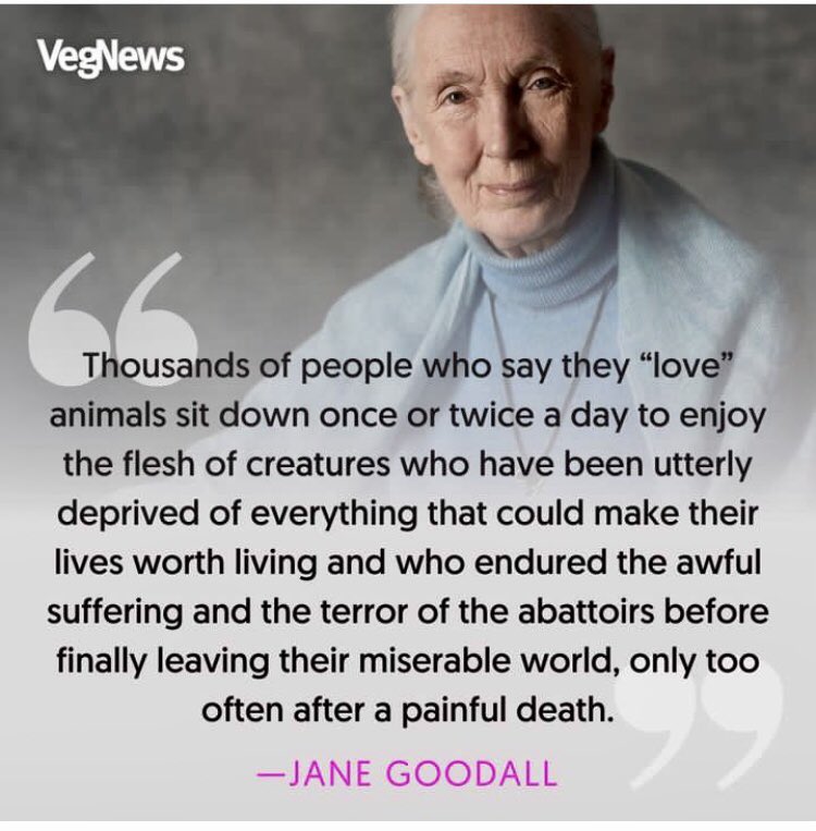 Please think about it and always chose kind foods. 
If you love animals, stop eating them. @VegNews  #vegantwitter #Vegan  #veganfood #JaneGoodall #EatPlants