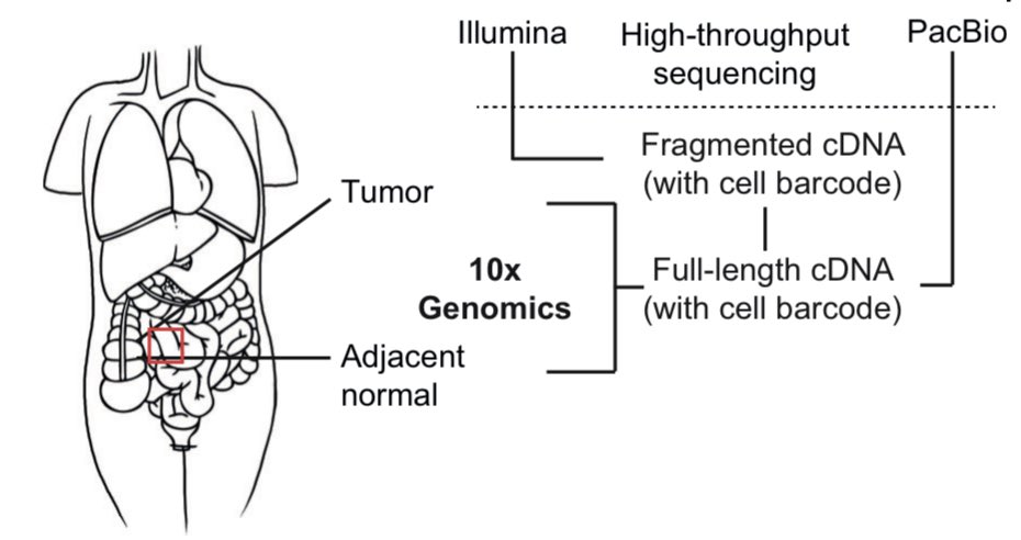Anirban Maitra tweet media