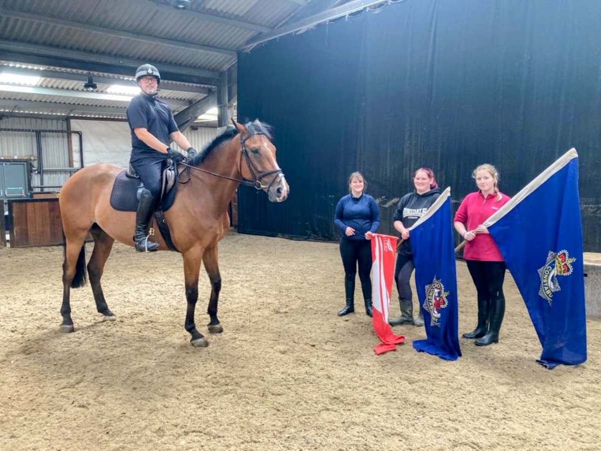 ASPoliceHorses's tweet photo. Mucking out, grooming, hay nets, poo picking and now helping us train the horses! 😅 It's been a busy week so far for our work experience girls, who have worked so hard! 😁🐴 #teamwork #thanksforyourhelp https://t.co/YDC4q095ZZ
