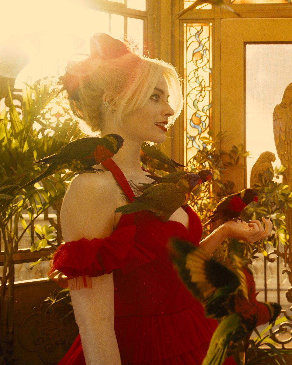 StreamMaxES's tweet image. ¡Hola Barbie! ¡Hola Ken! #EscuadrónSuicida #CrazyStupidLove