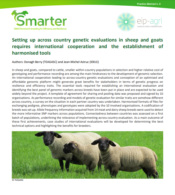 Smarter project presents its 4th Practice Abstract (PA04): 

“Setting up across country genetic evaluations in sheep and goats requires international cooperation and the establishment of harmonised tools”.🧬🐑🐏

Read it here👉 smarterproject.eu/wp-content/upl…