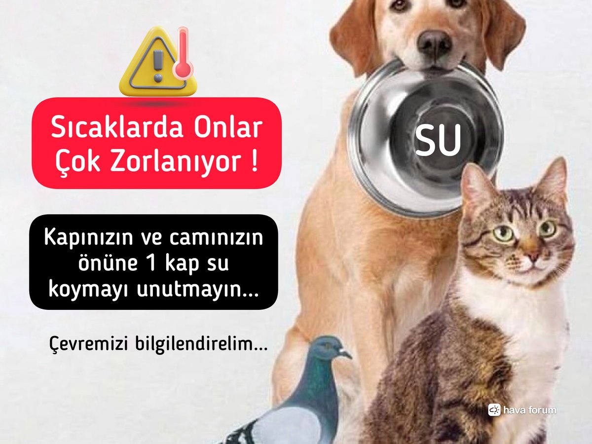 HavaForum's tweet photo. Sıcaklarda canlıları unutmayalım... Lütfen 1 Kap Su... https://t.co/LmTCuWxFq8