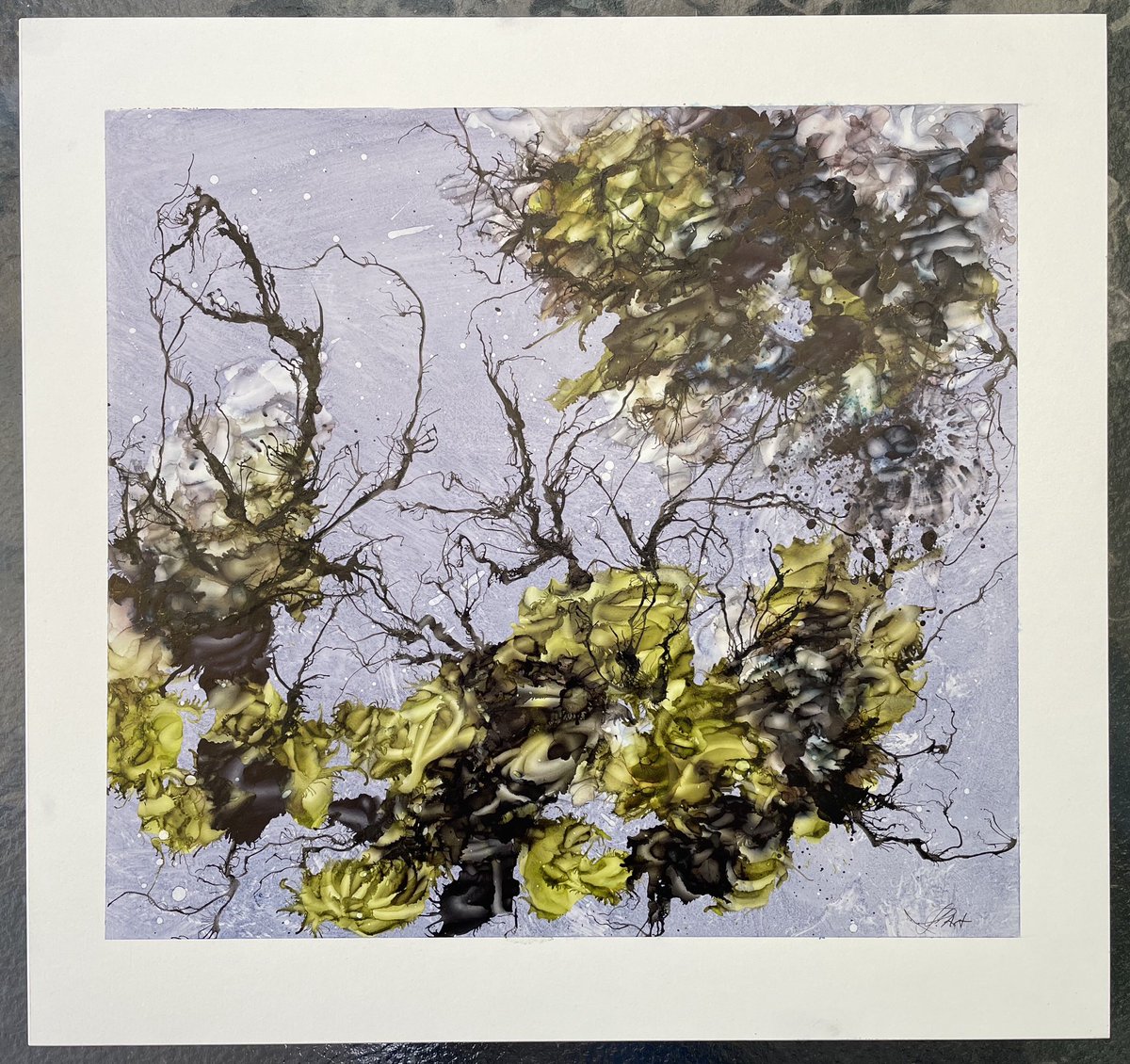 Farben des Lebens tweet media