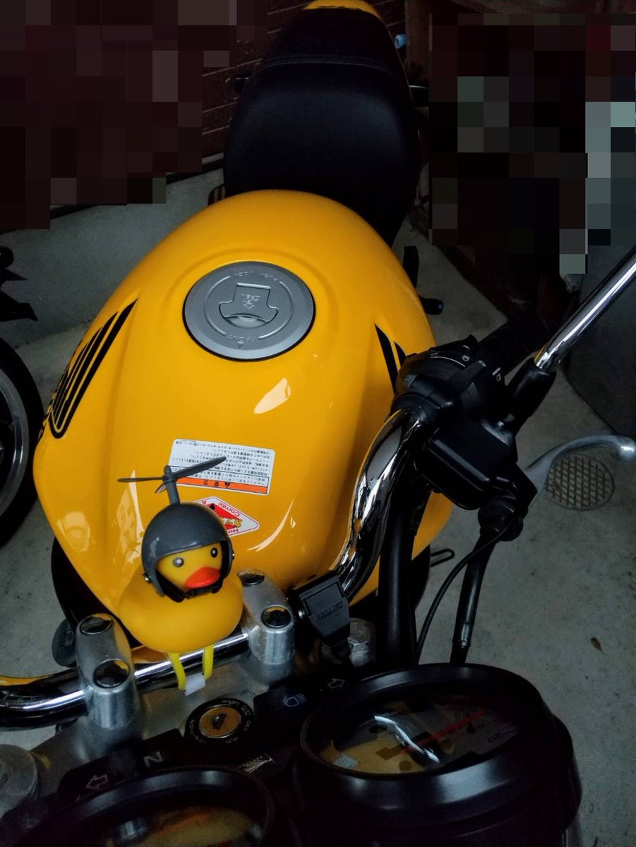 _tan_aka's tweet photo. VTR250納車！！🤤 https://t.co/VqPm9LALKy