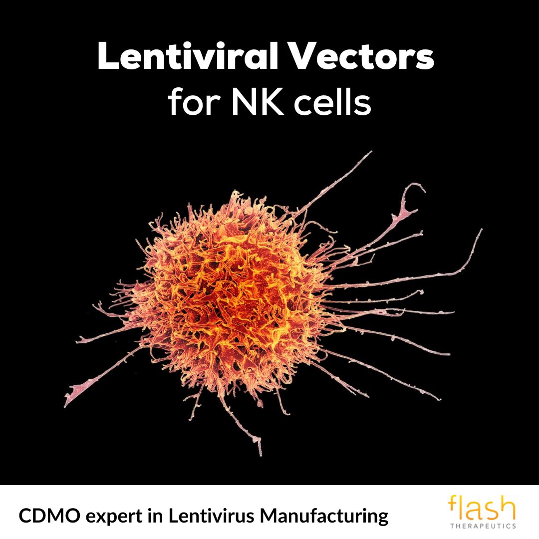 Is your NK vector transduction rate below 40%?
We can help you reach a minimum of 60%.

Premium-quality #lentiviralvectors can transduce over 60% of hNK cells, without toxicity and ensuring phenotypic and cytotoxic activity.

#NKcells #hematopoietic #transduction #NaturalKiller