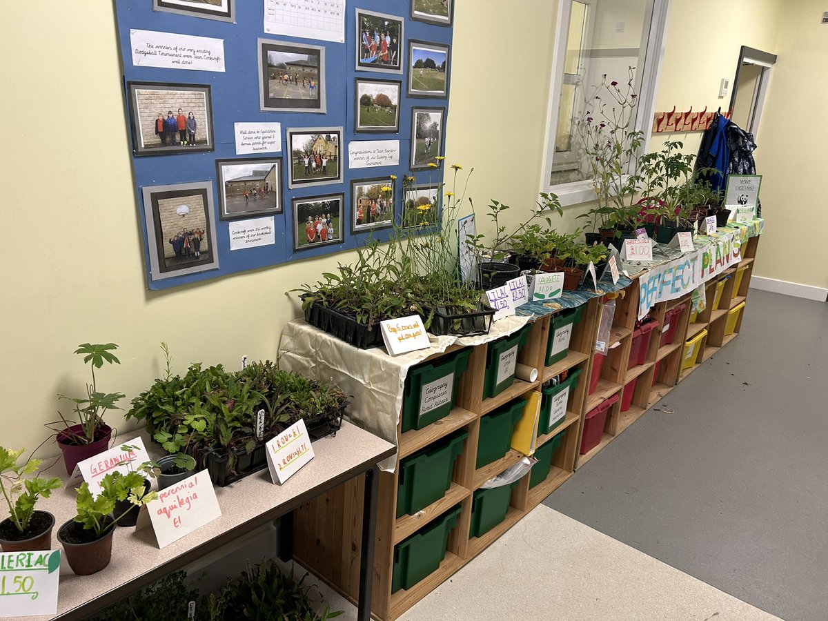 CpWelburn's tweet photo. We are almost ready for our Summer Fete. We look forward to seeing you all from 1.30pm. https://t.co/5a2L0nTdQc