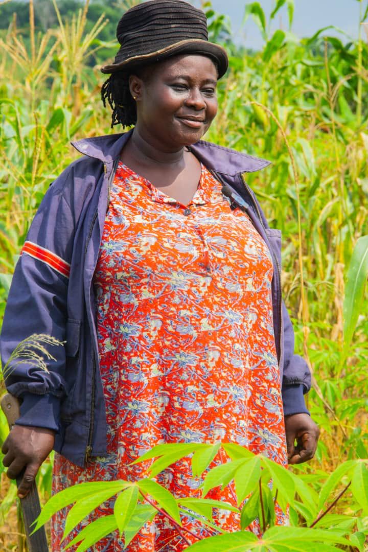 #Farming is the best option for survival. Meet Christiana Antwiwaa who gained her fortune through farming. I gained my fortune from farming – Christiana Antwiwaa revealed. - agrictoday.com.gh/2023/07/12/i-g…