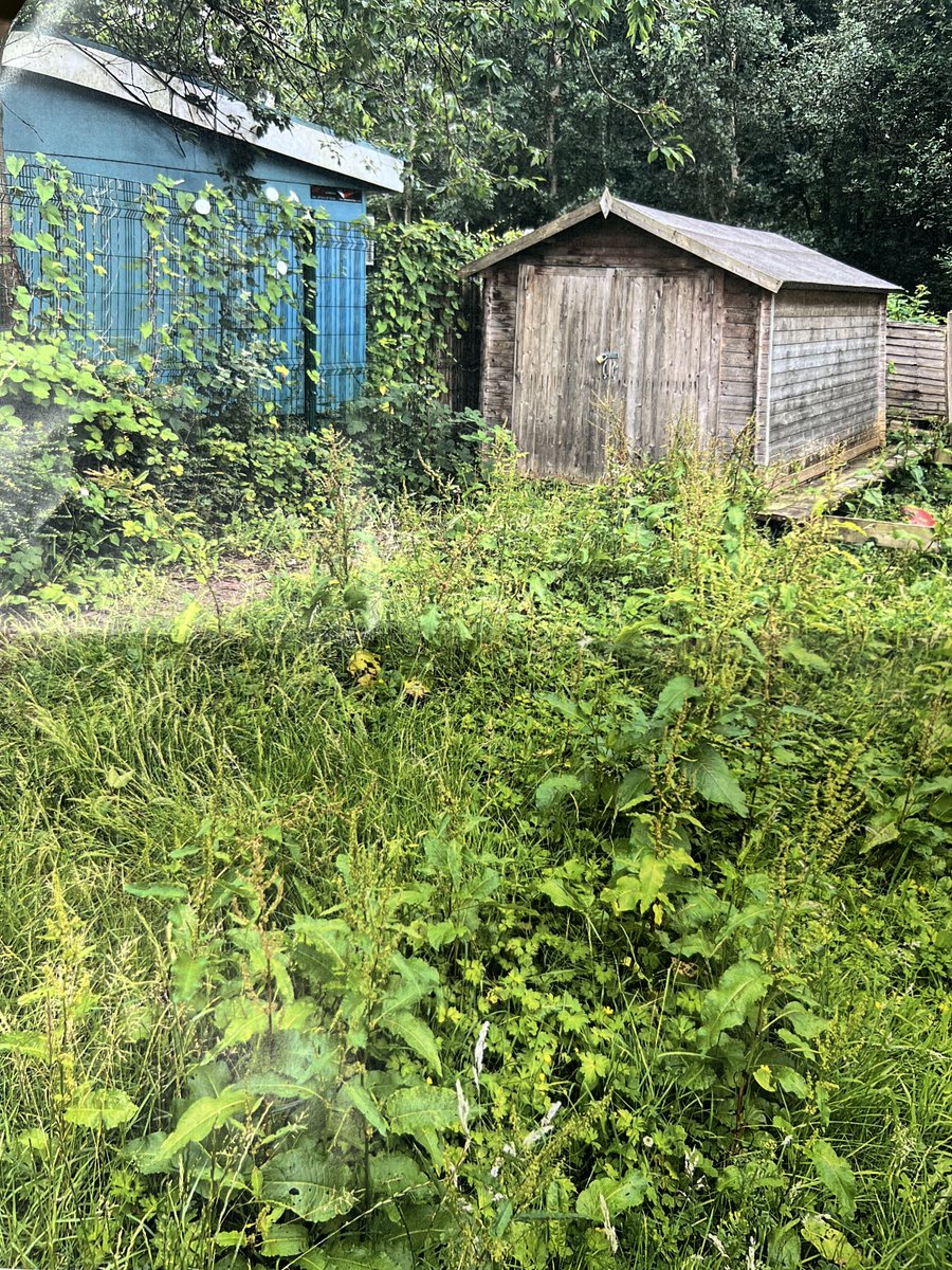 rushden_academy's tweet photo. Team Rushden have been smashing it and completed their project and you can see how different it looks! We then teamed up with Grace Academy Darlaston for another garden last night and now we are working on a bike painting project with everyone! #teamworkmakesthedreamwork #RASAS https://t.co/0IRydg7HUA