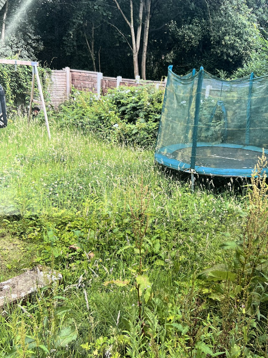 rushden_academy's tweet photo. Team Rushden have been smashing it and completed their project and you can see how different it looks! We then teamed up with Grace Academy Darlaston for another garden last night and now we are working on a bike painting project with everyone! #teamworkmakesthedreamwork #RASAS https://t.co/0IRydg7HUA