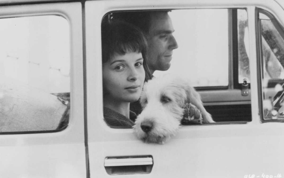 Tomas (Daniel Day-Lewis), Tereza (Juliette Binoche) en Karenin.

Filmstill uit 'De Ondraaglijke Lichtheid van het Bestaan' (1988), naar het boek van Milan Kundera.