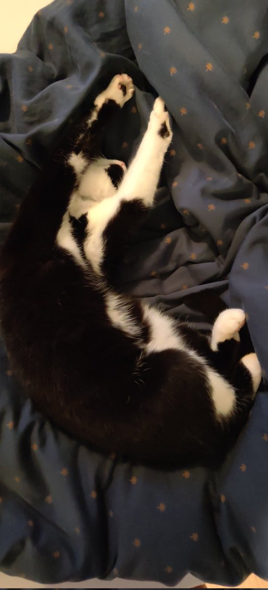 Guðrún Helga (@gudrun_helga) on Twitter photo 