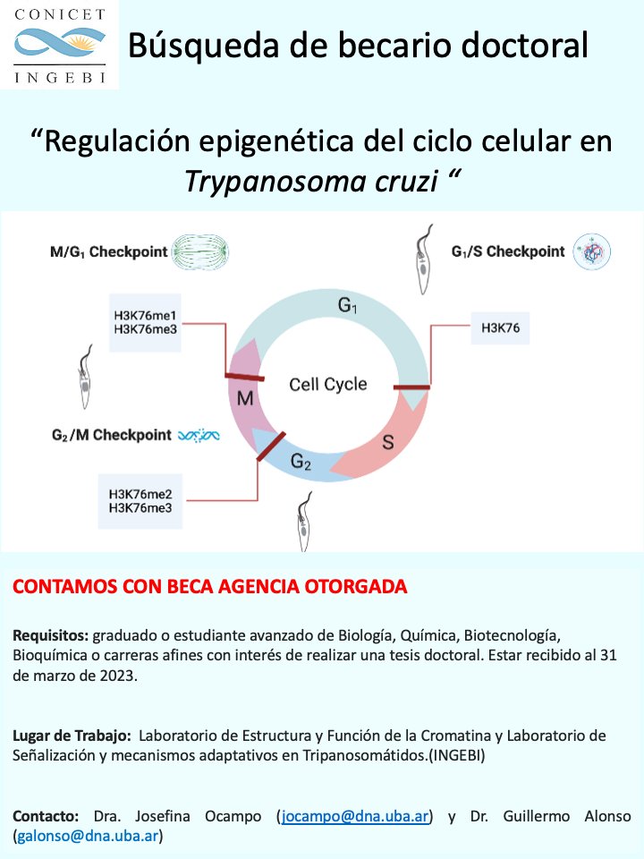 JOcampoLab's tweet image. contamos con una beca doctoral, se agradece difusión