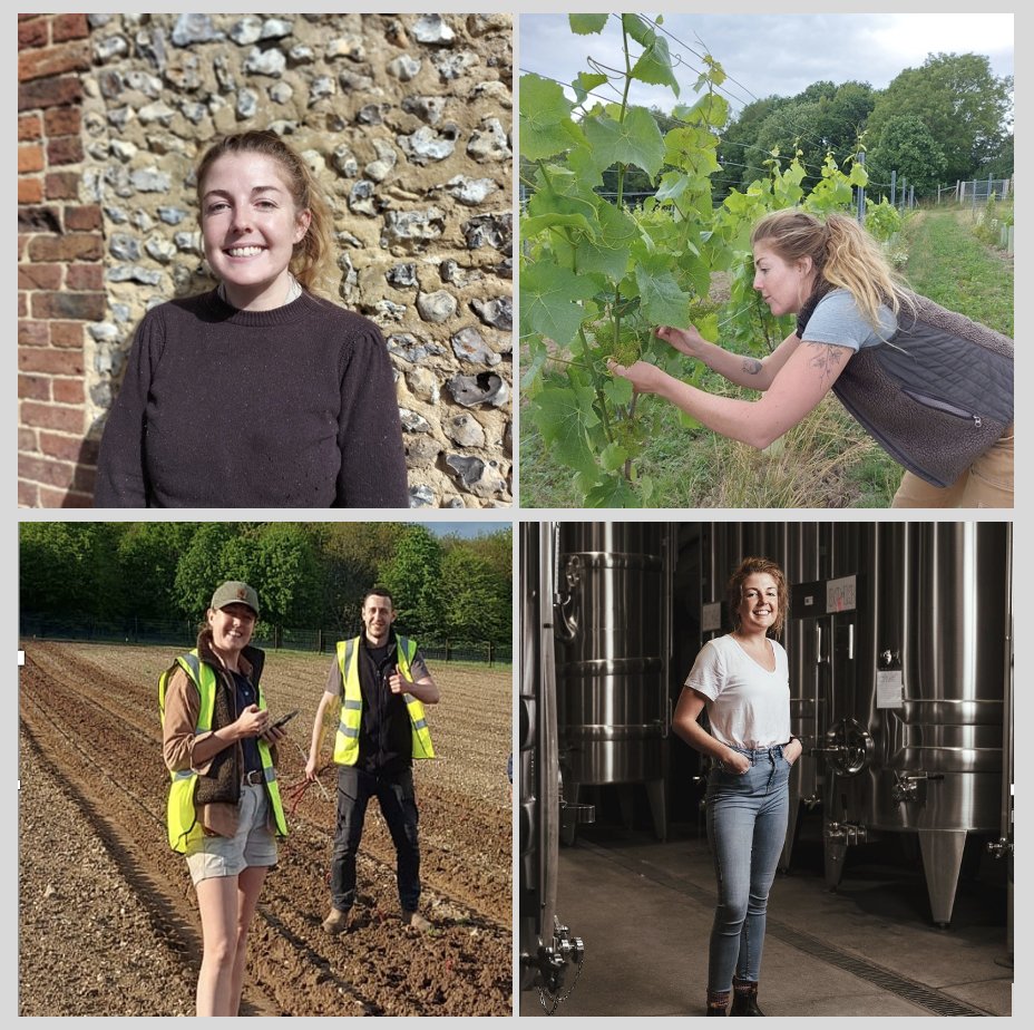 First ever Graduate Training Programme provides an opportunity for ambitious individuals worldwide to learn from leaders in their fields.  Sarah Stott announced as first trainee.  Find out more and read Sarah's blog vinescapes.com/graduate-schem…

#graduatescheme #wine #viticulture