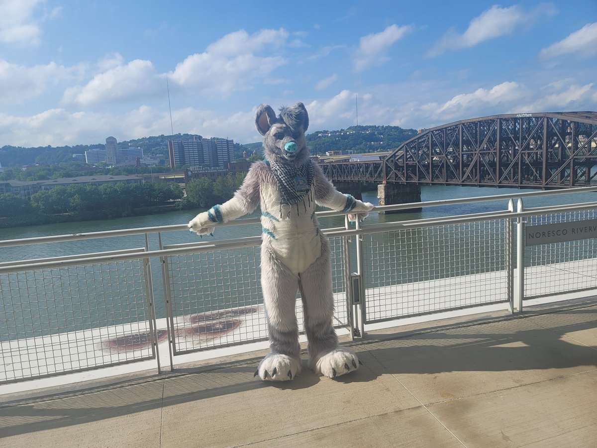 SandPuppy65's tweet photo. First one is @KuiperVanrel (sorry for the glare. 3rd one, no stoopid humans were harmed in the making of that. 4th one has @BDawgTheHusky in it again. #Anthrocon #anthrocon2023 https://t.co/o8fHnEV8NR
