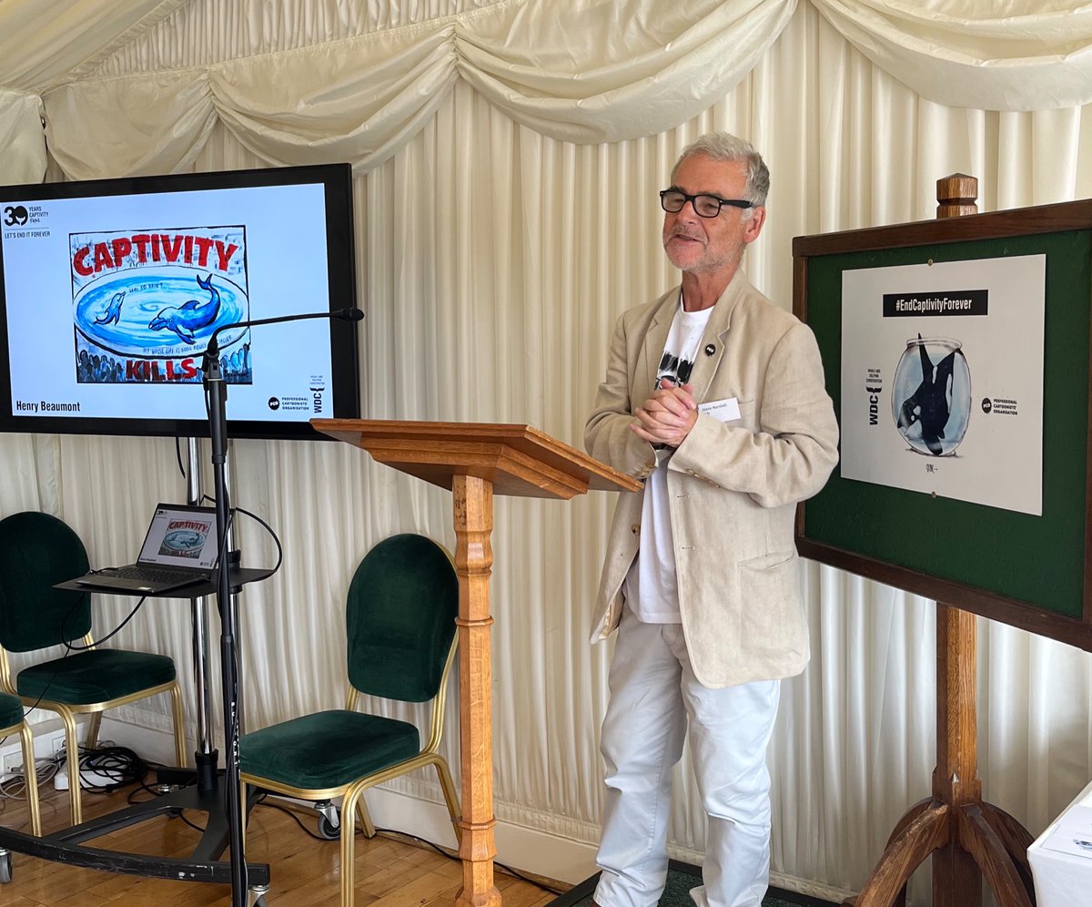 …introducing the @whalesorg and @procartoonists #endcaptivityforever cartoon exhibition at the Commons and clearly proving we didn’t have oracy training in schools when I wor a lad. Fine cartoons in the bg by @HennyBeaumont & @ChicanePictures