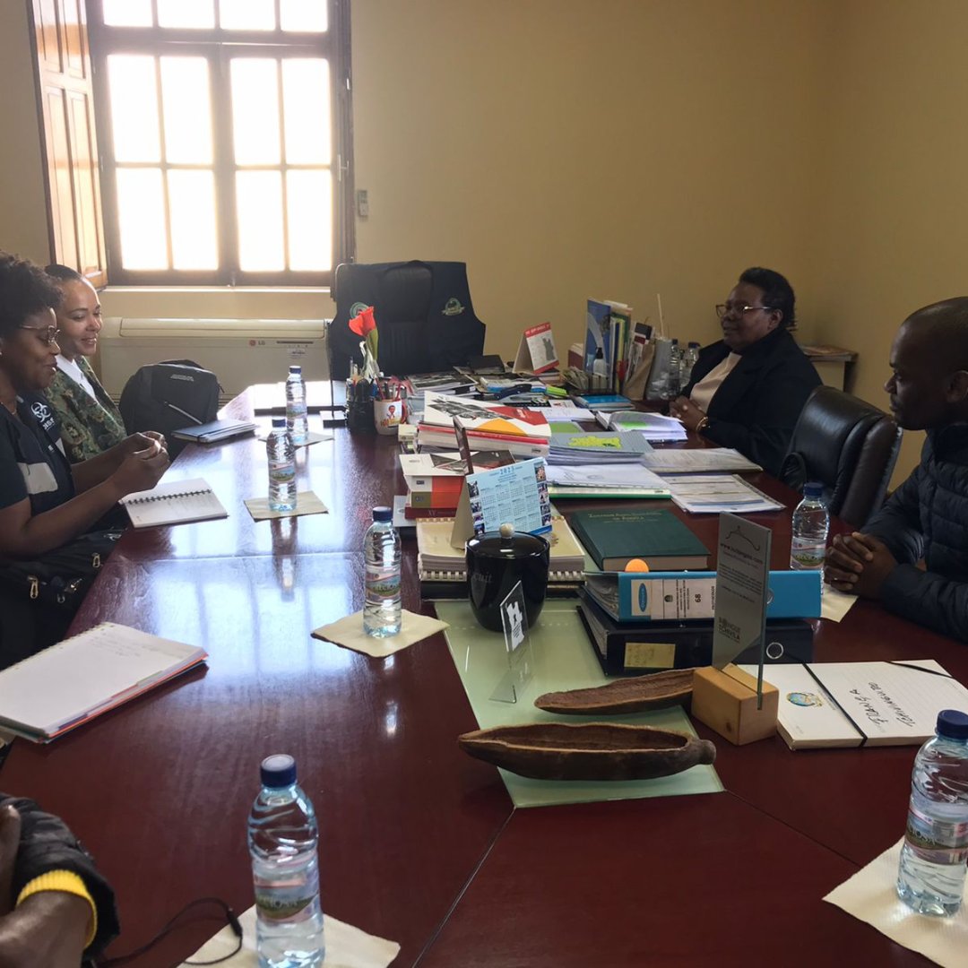 RedisseA10841's tweet photo. Gestora Técnica do REDISSE IV-Angola acompanha o desenvolvimento dos trabalhos de implementação do IIMS 2023!  

#redisseangola #angola #governodeangola #minsa #worldbank #minsapps #onehealth #ceeac #IIMS2023 https://t.co/vRTwMIZnxi