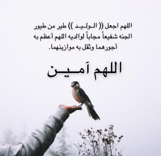 khalidk8's tweet photo. https://t.co/P03YqWYGWA