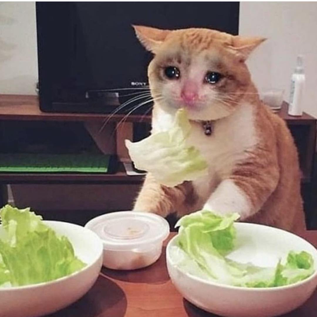 eu a almoçar neste momento com a tela azul faz uma hora: 
Taylor Swift Portugal