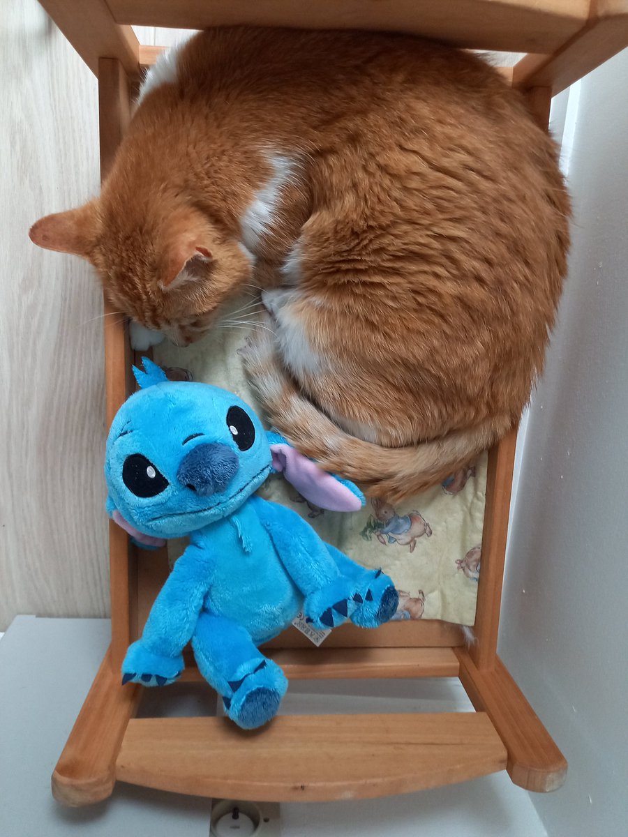 Je fais le cododo avec le copain Stitch. Ça va, il est sage.