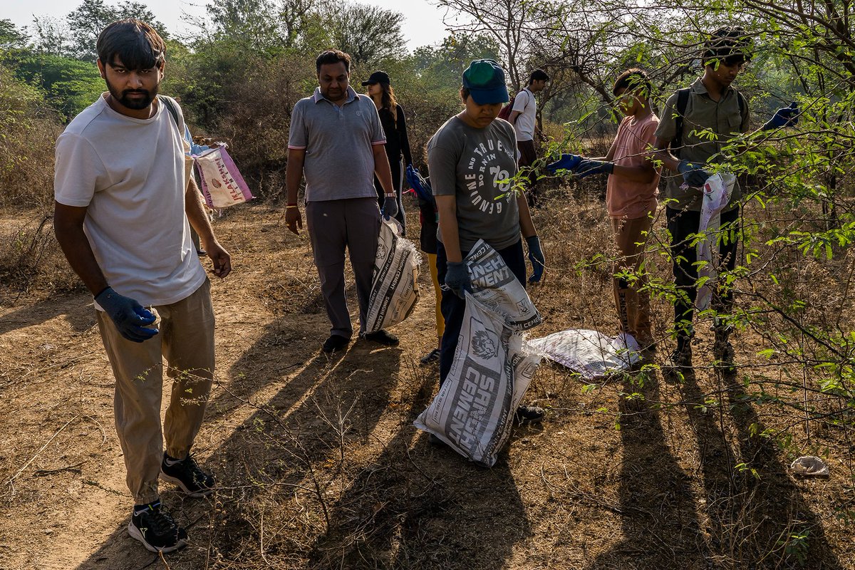 Volunteers from <a href="/gathering_green/">Gathering Green 🌱</a> collect rubbish along Sabarmati river gorge, one of the last natural areas on the edge of #Ahmedabad and its rapid urbanisation. People regularly throw and hide their rubbish under the vegetation, while cows kept in the vicinity feed on it.