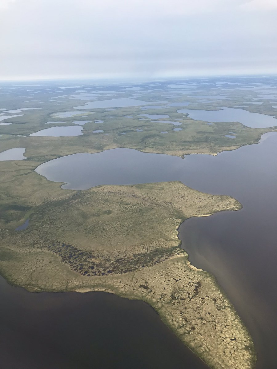 grosse_guido's tweet image. Important locations were surveyed in our Perma-X campaign yesterday: the relocation options for Tuktoyaktuk, a coastal hamlet strongly threatened by permafrost coastal erosion in the Inuvialuit Settlement Region. Data will hopefully be useful for a decision. @Permafrost_RS