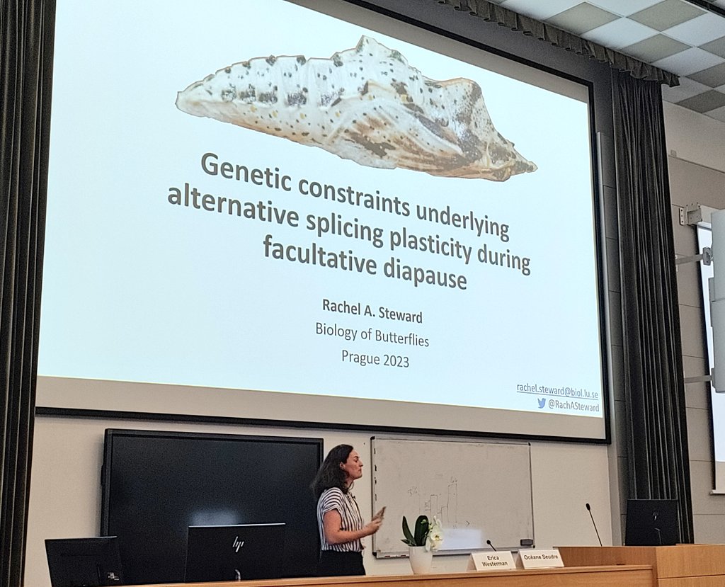 We're continuing the Phenotypic Plasticity session with two very cool talks from <a href="/drmatterpillar/">Matthew Nielsen</a> and <a href="/RachASteward/">Rachel Steward</a> focusing on diapause in butterflies and how it is related to melanism and genetic diversity #BoB2023