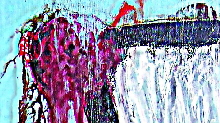 𝐇𝐏🐯S◎L tweet media