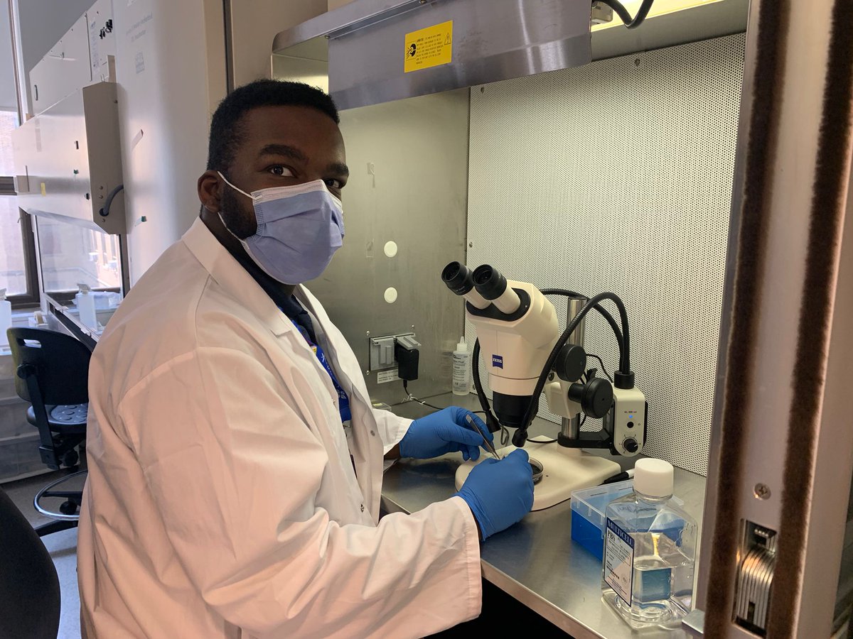 Dabdoub Lab (@labdabdoub) on Twitter photo CONGRATS to graduate student Boaz Ehiogu for receiving the Ontario Graduate Scholarship (OGS) and the <a href="/UofT_OHNS/">U of T Otolaryngology - Head & Neck Surgery</a> Raymond Ng Graduate Award working on regeneration of #auditory #neurons. <a href="/UofT_LMP/">Department of Laboratory Medicine & Pathobiology</a> <a href="/uoftmedicine/">Temerty Medicine</a> <a href="/Sunnybrook/">Sunnybrook Health Sciences Centre</a> #InnerEar #regenerativemedicine CONGRATS to graduate student Boaz Ehiogu for receiving the Ontario Graduate Scholarship (OGS) and the <a href="/UofT_OHNS/">U of T Otolaryngology - Head & Neck Surgery</a> Raymond Ng Graduate Award working on regeneration of #auditory #neurons. <a href="/UofT_LMP/">Department of Laboratory Medicine & Pathobiology</a> <a href="/uoftmedicine/">Temerty Medicine</a> <a href="/Sunnybrook/">Sunnybrook Health Sciences Centre</a> #InnerEar #regenerativemedicine