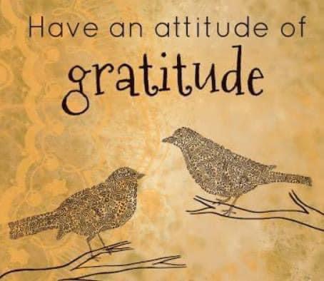 ethyl smith tweet media