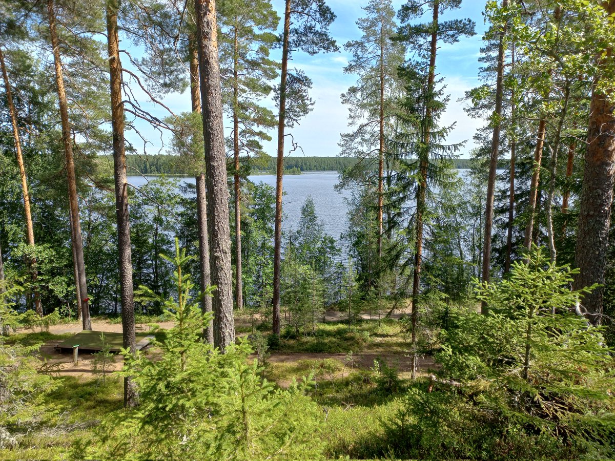 MKallasvuo's tweet photo. Hetkeksi #heippa näille juoksumaastoille, nähdään taas syksyn lomajaksolla - hyvässä lykyssä jo aikaisemminkin. Perjantaiksi kaivettava työmoodi esiin, eiköhän löytyne entiseen tapaan. #juoksu #polkujuoksu 🏃♀️ https://t.co/DKefohCo1G