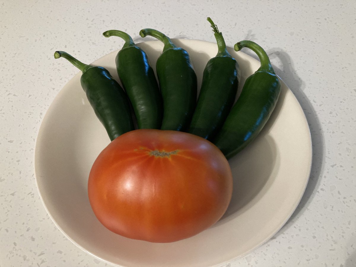 Brett Miller tweet media