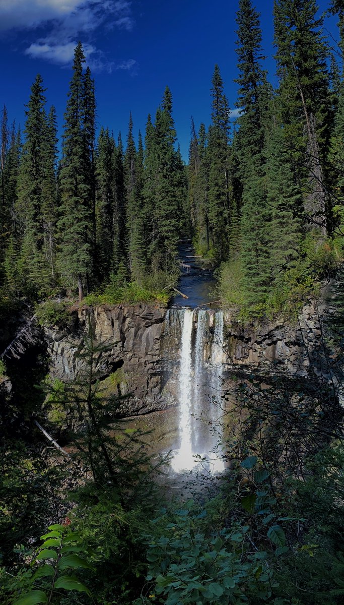 RandyMilanovic tweet media