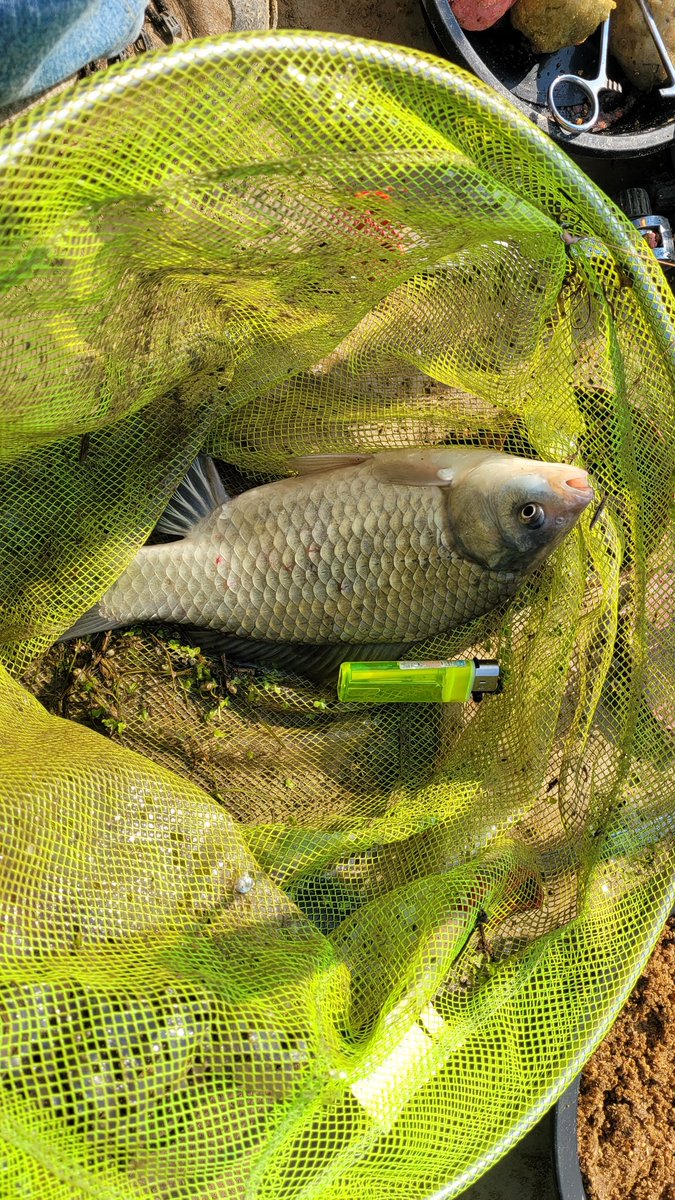 #진위천백봉리 #턱거리월척
깊은수심에서 발버둥치는 붕어의 저항에 손맛은 아주 쥑여준다.