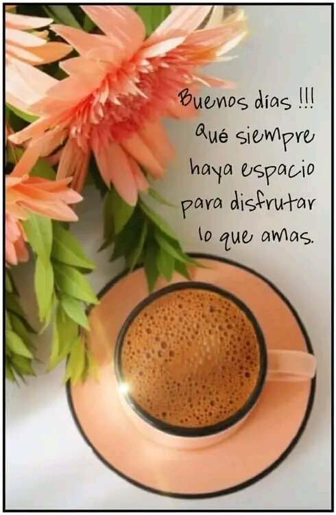 EnriqueMoraleVC's tweet photo. #DíaFeliz
👉 Que tú amanecer sea lleno de Paz✋ y Amor❤.. https://t.co/4zouc9jdpc