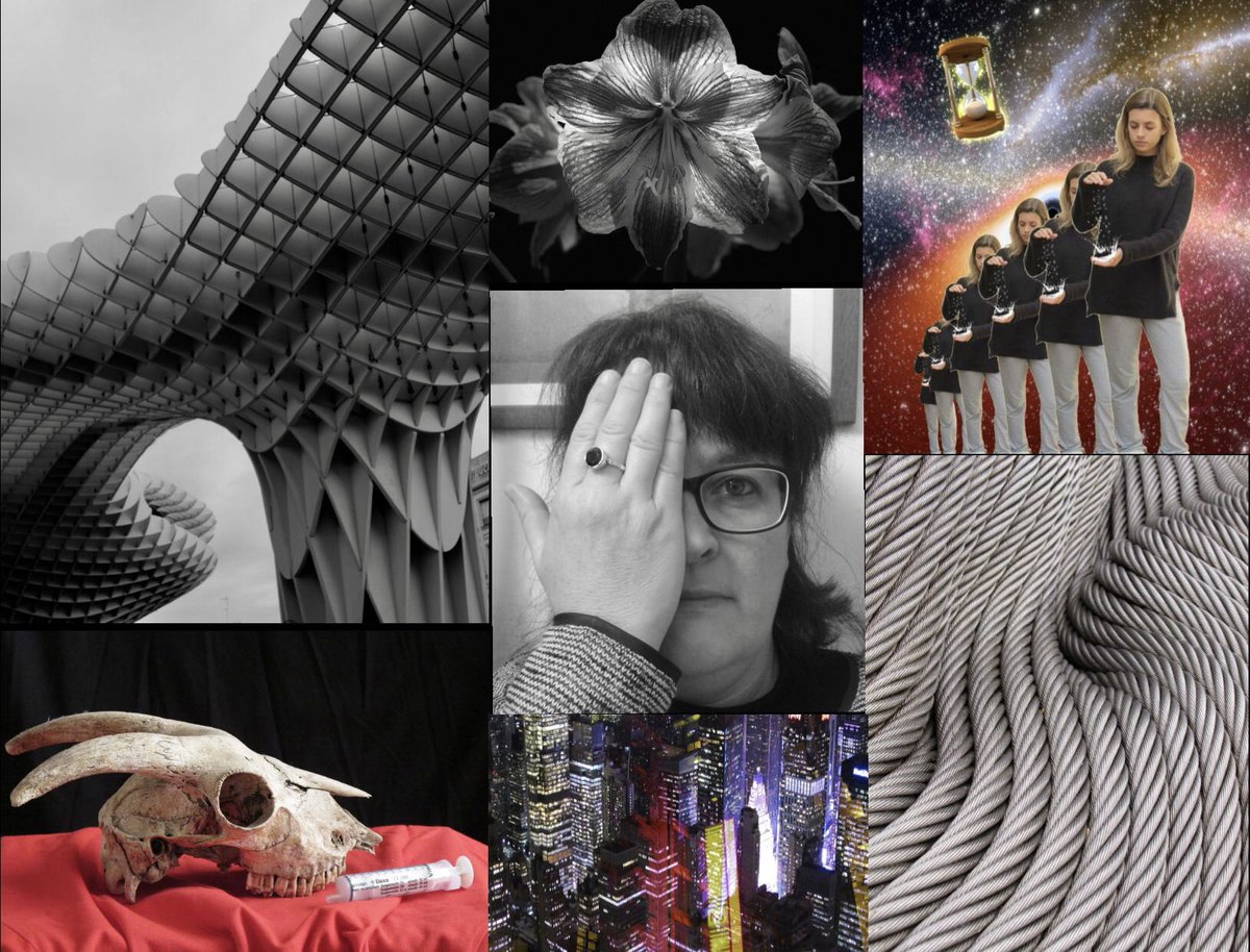 CARMEN CAMÍ tweet media