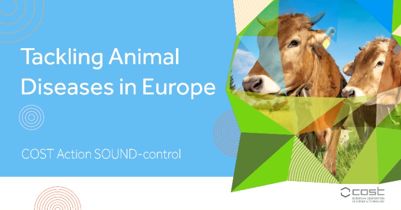 COSTprogramme's tweet photo. SOUND-control was conceived to focus on improving animal well-being, reducing antibiotic use, ensuring safe trade, &amp; easing the burden of animal diseases. We chat with Inge Santman-Berends to learn all about the achievements of this network 👇

#COSTactions #DiseaseControl