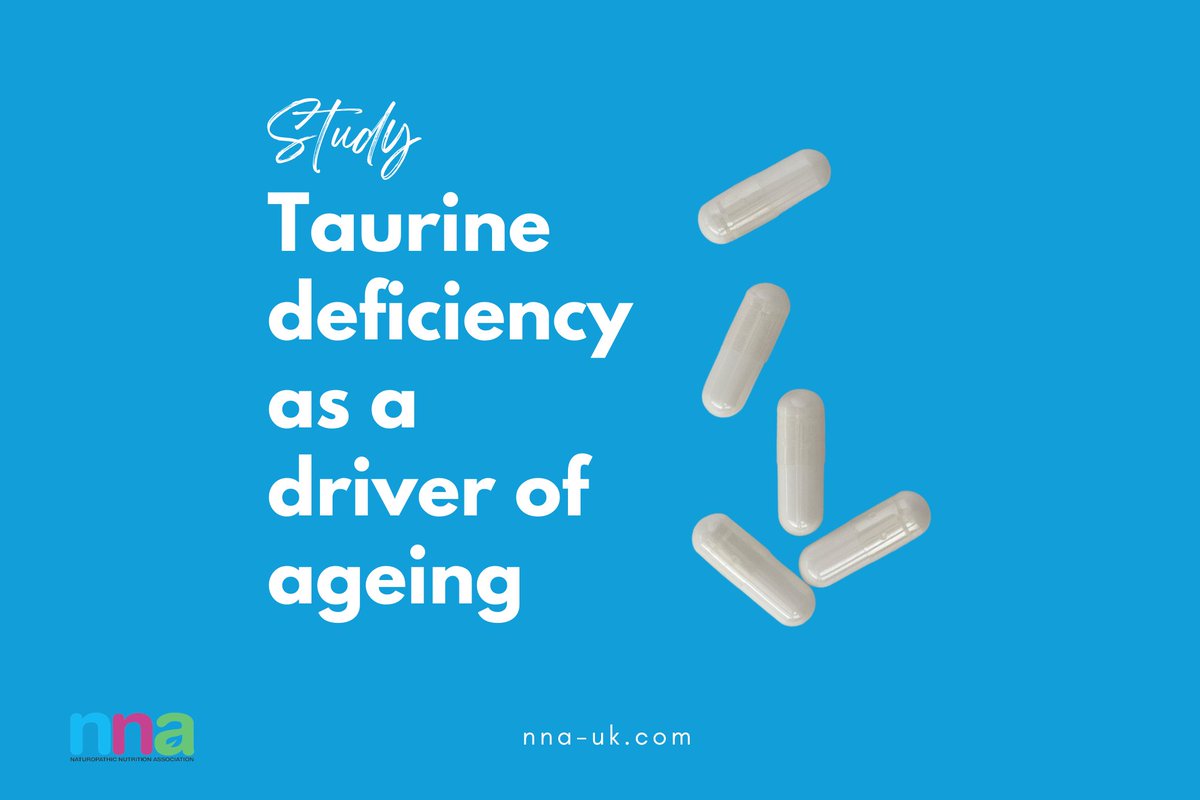 A recent study published in June 2023 found that the semi-essential amino acid taurine naturally decreased with age and deficiency is associated with chronic disease.

Increasing taurine status via supplementing slowed key markers of ageing including increased DNA damage, tel ...