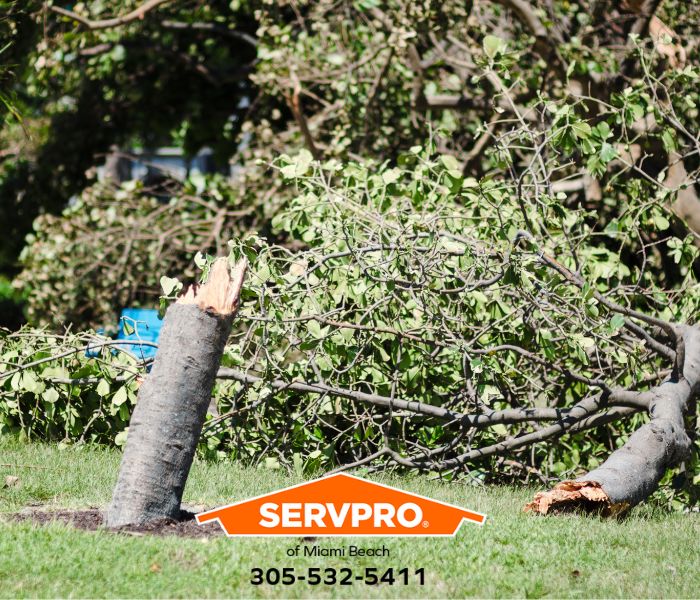 La Gorce Island Home Suffers Storm Damage? We restore storm damage 24 hours a day in Miami-Dade County. #SERVPRO #SERVPROofMiamiBeach #MiamiBeach #FL #PropertyDamage #WaterDamage #FireDamage #Flooding #StormDamage