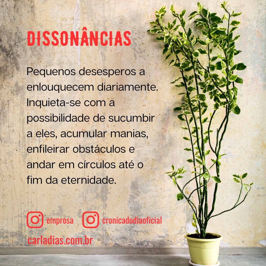 cronicadodia's tweet photo. Hoje tem Carla Dias no Crônica do Dia.
https://t.co/7AU82rgu1z

@talhe

#carladias #cronicadodia #contos #literatura #literaturabrasileira #literaturabrasileiracontemporanea https://t.co/PcxmFCalzi