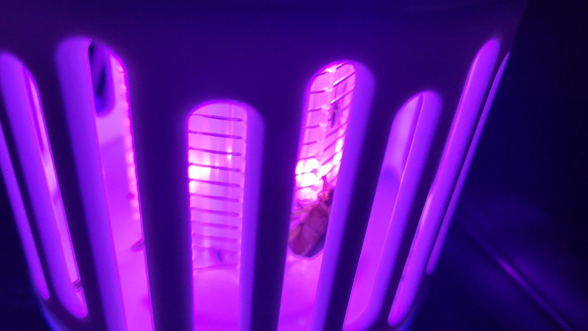 <a href="/yespjh/">산행과 낚시</a> 어느 블로거 사용자의 추천에 구입한 #모기퇴치기. 낚시터에서 새키손톱만한 풍뎅이가 #전기맛사지를 즐기는듯 여기저기 기어 다닌다. 메뚜기가 즉사? 한다고 했는데 풍뎅이는 전기감전이 간지로운듯... 블로그 글 이해난감!