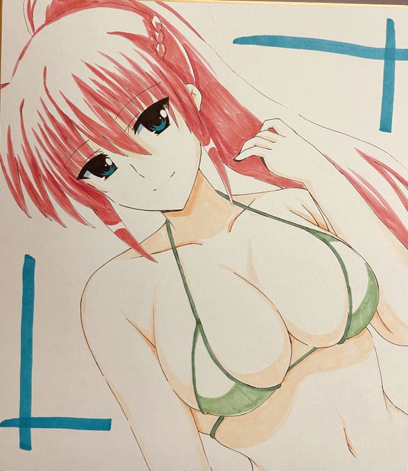 アナログシグナムねーさん。
どう考えても水着小さいよね… 