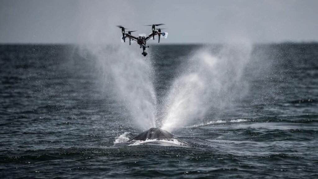 The Future Game tweet media