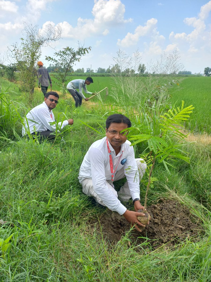 SureshRaha2's tweet photo. @CMOfficeUP @myogiadityanath आदर्श जनहित सेवा संस्था द्वारा वृक्षारोपण https://t.co/6TH56e5tpZ