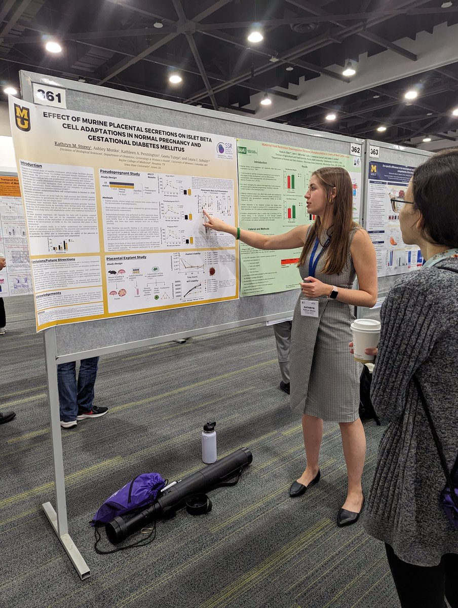 Dr. Jess Milano-Foster (@jmil_foster) on Twitter photo Check out my labmate's poster on the connection between the placenta and islet beta cells in GDM! Poster 361 <a href="/sciencestorey/">Kathryn Storey</a> #repro #sciencing #placentasarecool <a href="/LCSchulzLab/">Schulz Lab - MU</a> <a href="/SSRepro/">SSR</a> <a href="/SSR_Trainees/">SSR Trainees</a> #SSR2023 Check out my labmate's poster on the connection between the placenta and islet beta cells in GDM! Poster 361 <a href="/sciencestorey/">Kathryn Storey</a> #repro #sciencing #placentasarecool <a href="/LCSchulzLab/">Schulz Lab - MU</a> <a href="/SSRepro/">SSR</a> <a href="/SSR_Trainees/">SSR Trainees</a> #SSR2023