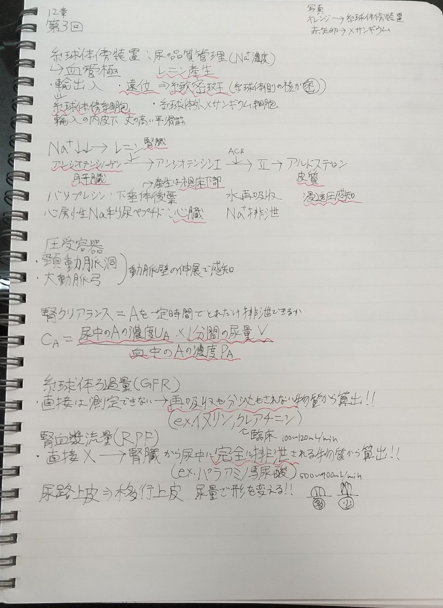 adme_t's tweet photo. 作りかけですが機能形小テストの解説です
一応答えにあたる所に赤ペンで波線を引いてます
間違ったところあったら指摘してください
#機能形態学
12章 https://t.co/zKMgQdyfgq